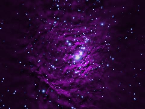 Orion Nebula