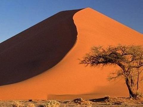 dune 7