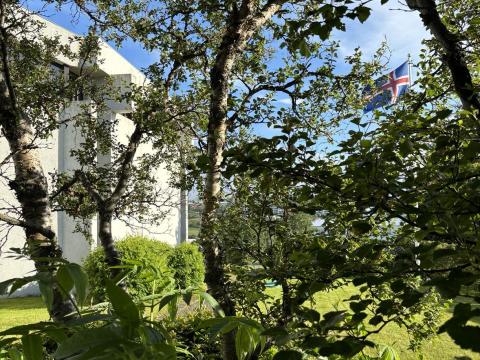 Bútsaðakirkja, gróður og fáni