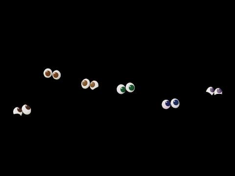 Feluleikur_Augu_Pony