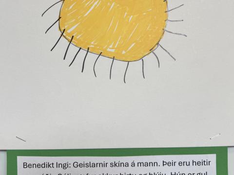Sól